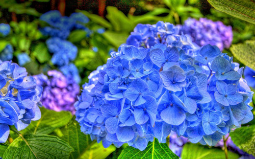 491730 (a): :1280x800